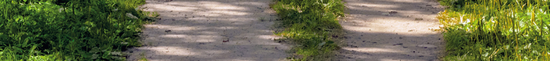 Footer Image